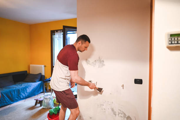 Best Best Mold Removal Companies  in Ddanelle, AR